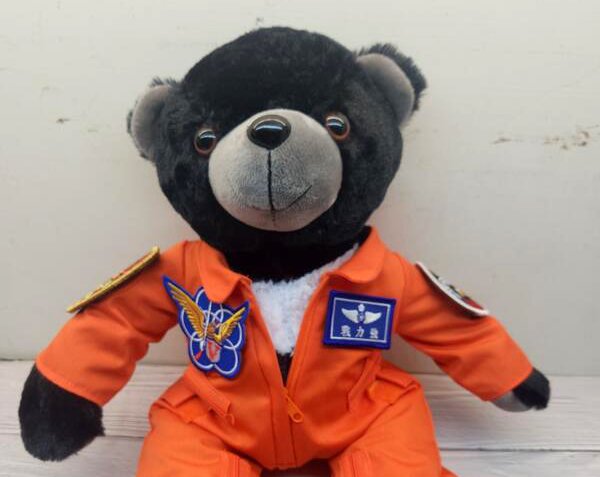 榮獲2025桃金獎-金得禮心的榮耀