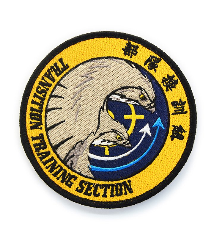 P0079 空軍勇鷹高級教練機AJT部隊換訓組胸章(有魔鬼氈)