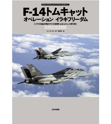 F-14“雄貓”戰鬥機“伊拉克自由行動”