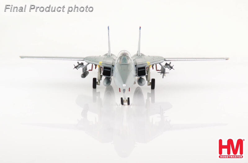 HA5243美國海軍F-14B戰機VFA-143嘔吐犬模型1
