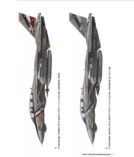 F-14“雄貓”戰鬥機“伊拉克自由行動”