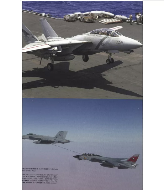 F-14“雄貓”戰鬥機“伊拉克自由行動”