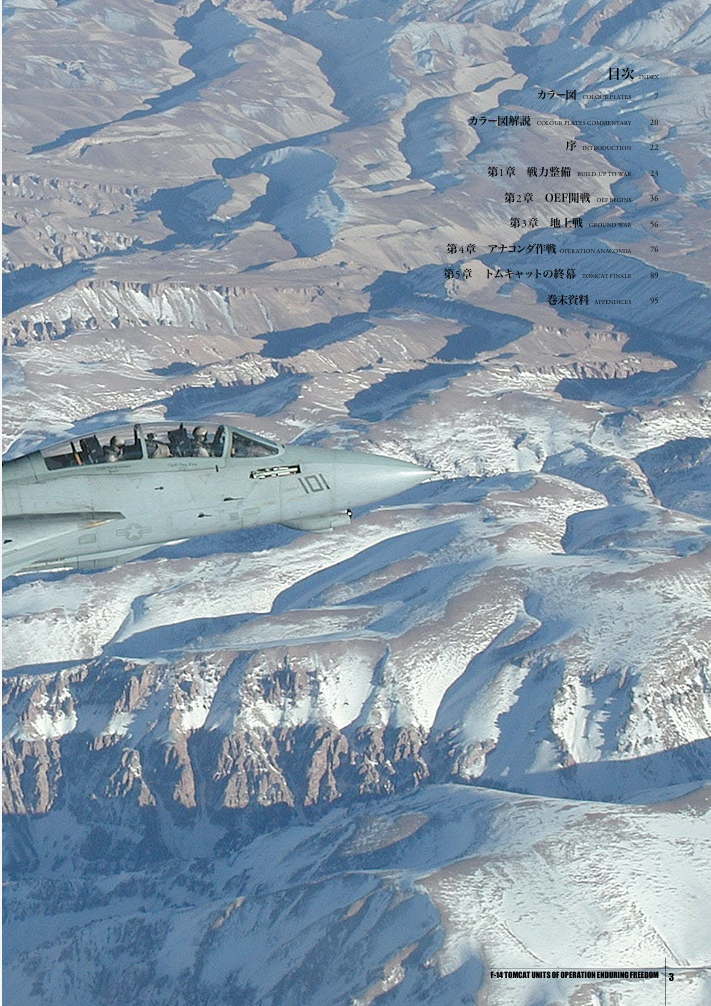 美國海軍F-14雄貓戰鬥機中隊 持久自由行動