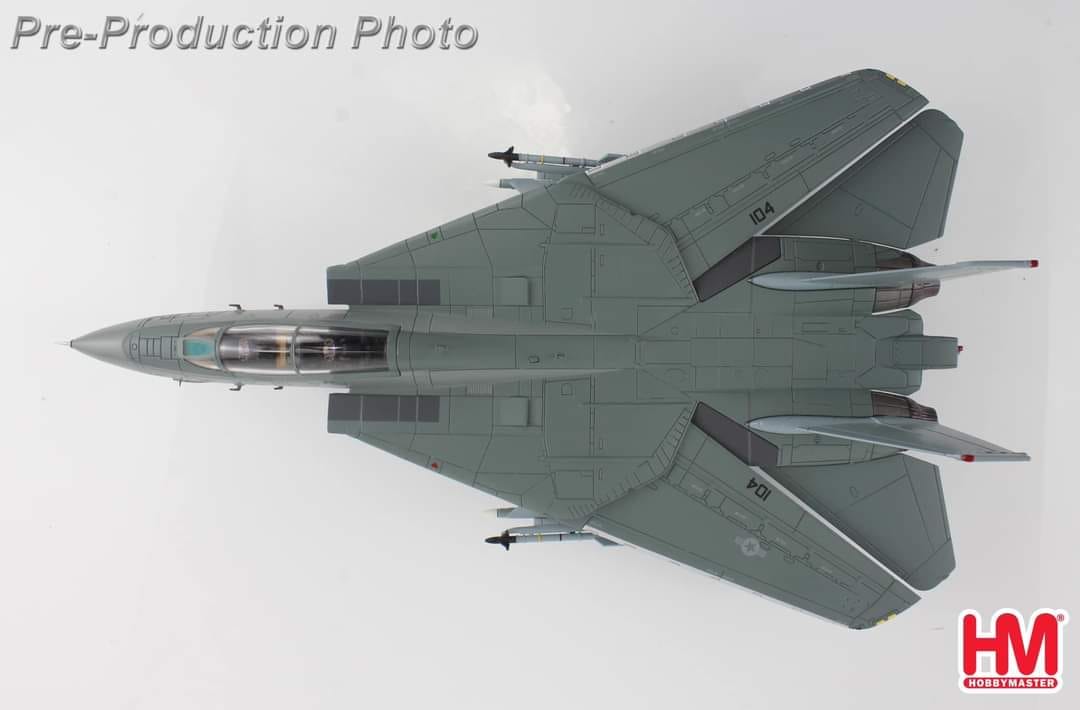 HA5255捍衛戰士 ICEMAN F-14A金屬模型
