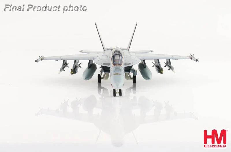HA5134美國F/A-18F VFA-122 