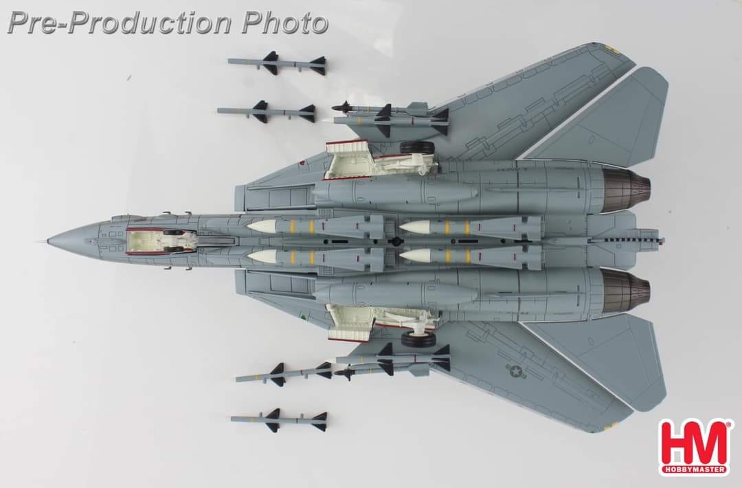 HA5255捍衛戰士 ICEMAN F-14A金屬模型