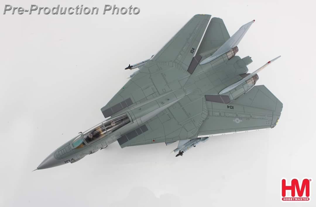 HA5255捍衛戰士 ICEMAN F-14A金屬模型
