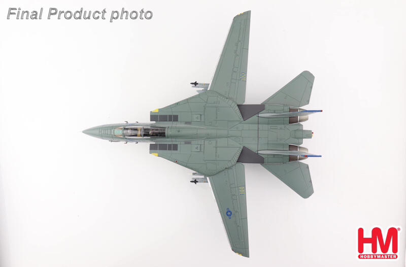 HA5243美國海軍F-14B戰機VFA-143嘔吐犬模型1