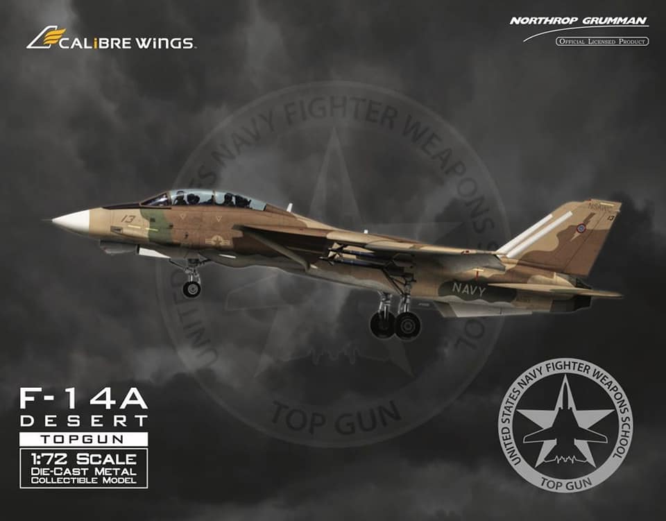 CA72TP05 美國F-14A Topgu戰鬥機沙漠迷彩 模型1/72成品