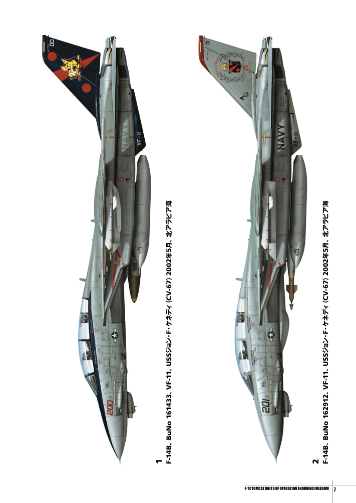美國海軍F-14雄貓戰鬥機中隊 持久自由行動
